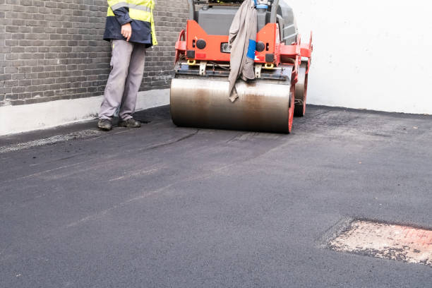 Professional Driveway Paving  in Arden Hills, MN